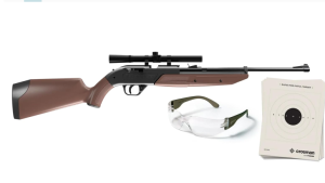 Crosman 760P Pump Master .177-Caliber Pellet/BB Air Rifle