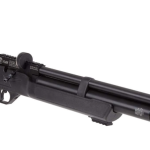 Best Quietest Air Rifle for Pests