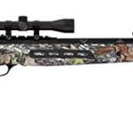 Best Springer Air Rifles