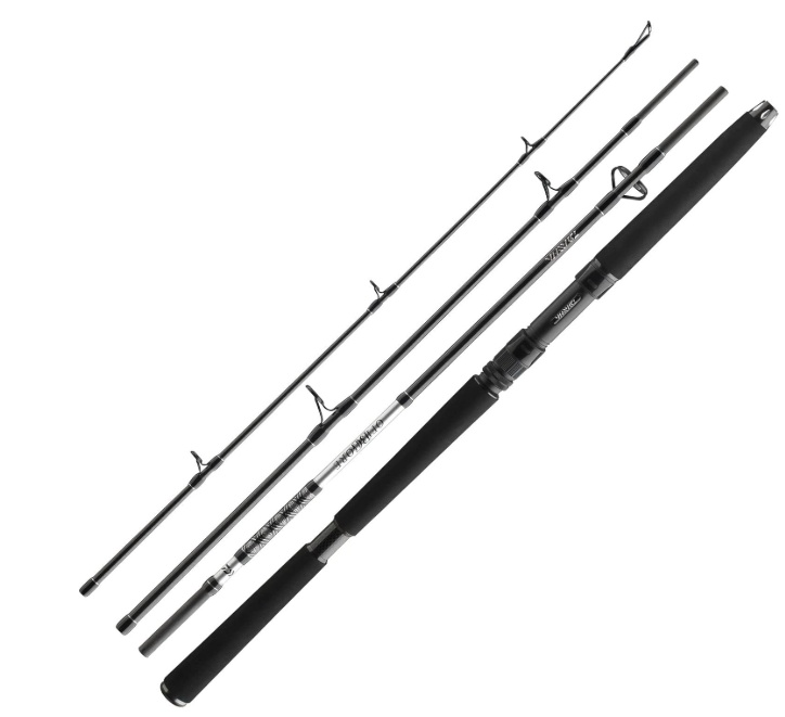 5 Best Fishing Rod for Beginners Under 200