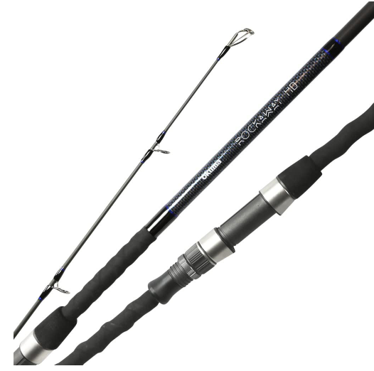 5 Best Surf Fishing Rod under 250