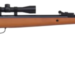 Best Break Barrel Air Rifle for Hunting