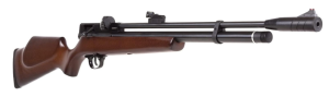 5 Best Beeman Air Rifles for Target Shooting