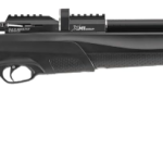 Best Stoeger Air Rifles for Precision Shooting