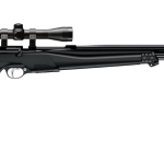 Best Stoeger Air Rifles for Target Shooting