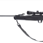 Best Ruger Air Rifles for Squirrels
