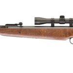 Best Ruger Air Rifles for Target Shooting