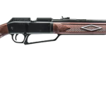 Best Daisy Air Rifles for Beginners
