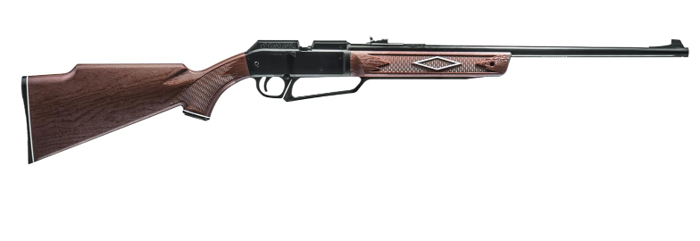 Best Daisy Air Rifles for Beginners