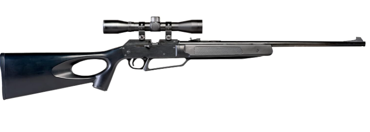 Best Daisy Air Rifles for Precision Shooting