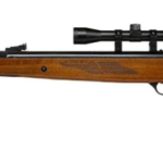 Best spring piston Air Rifles for beginner 