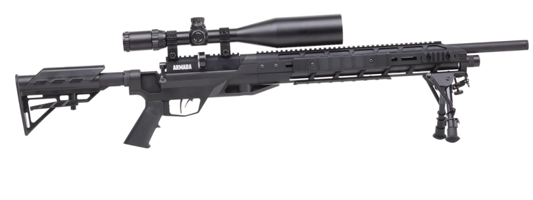 Best .25 Air Rifles for Beginners