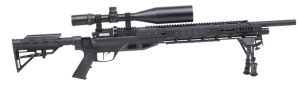 Benjamin Armada PCP Air Rifle Combo air Rifle