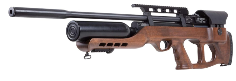 5 Best Hatsan .25 Air Rifles
