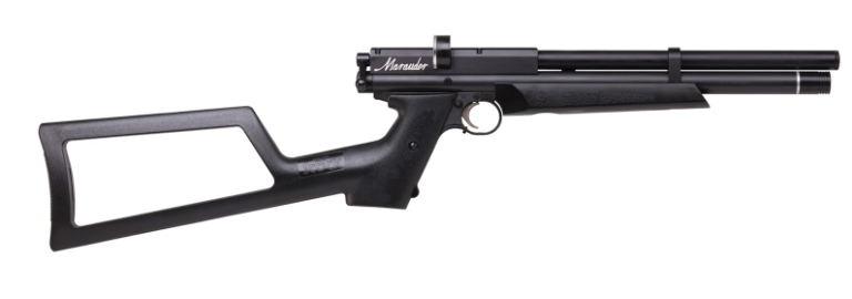 5 Best Benjamin Air Rifle for Target Shooting