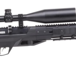 Best Benjamin Air Rifle for Beginners
