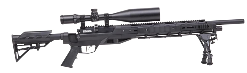 Best Benjamin Air Rifle for Beginners