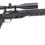 Best Benjamin Air Rifle