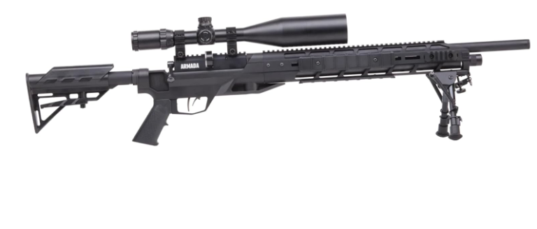 5 Best Benjamin Air Rifles