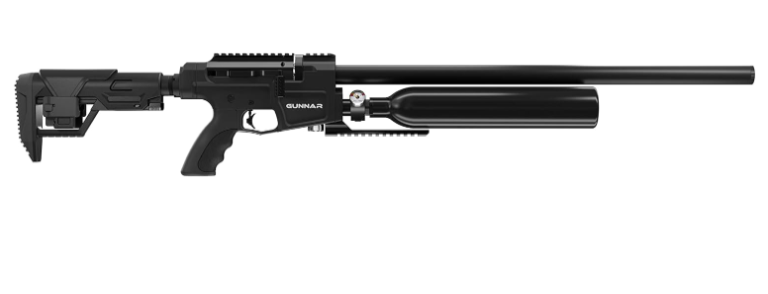 5 Best Benjamin .22 Air Rifles for Hunting