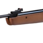 Best Crosman .22 Air Rifles for Pest Control
