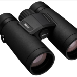 Best Binoculars for Bird Watching