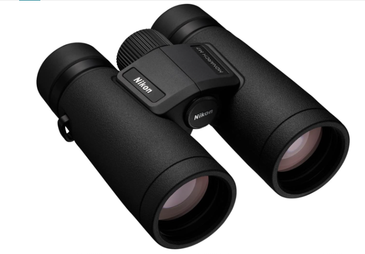Best Binoculars for Bird Watching